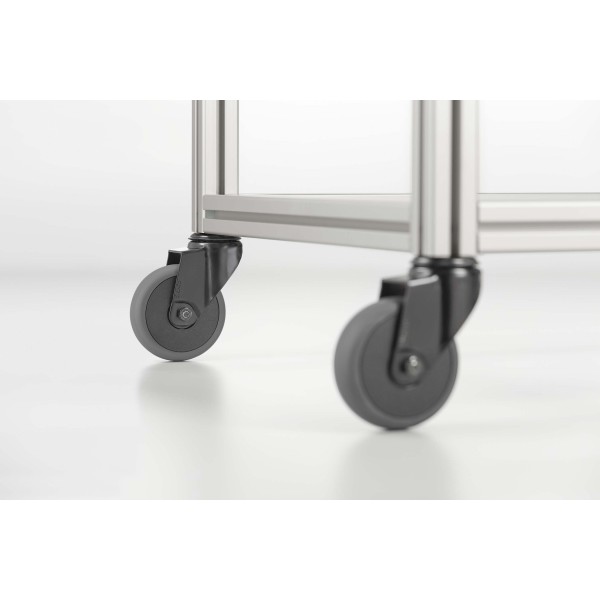 Lenkrolle D100