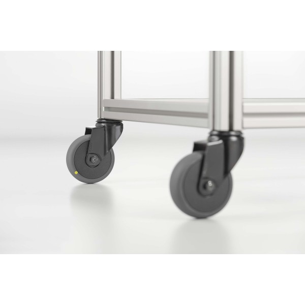 Lenkrolle D100 ESD