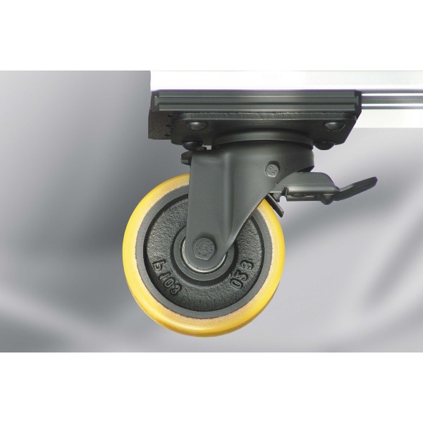 Rollen-Adapterplatte 12 M10-105x80