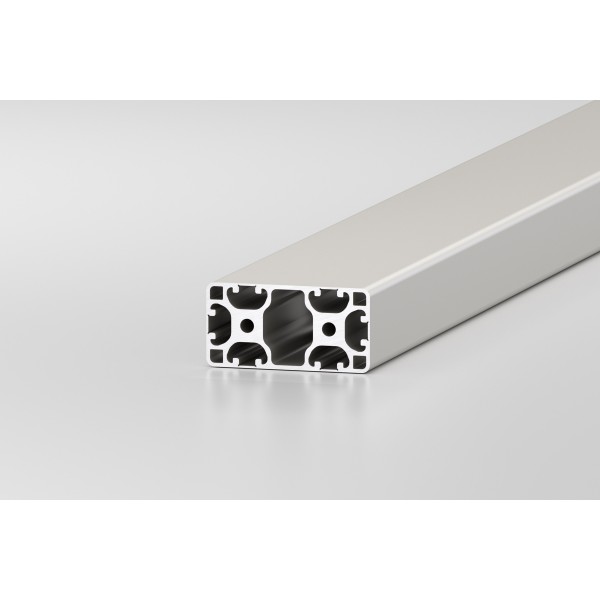 Profil 8 80x40 6NO leicht, natur