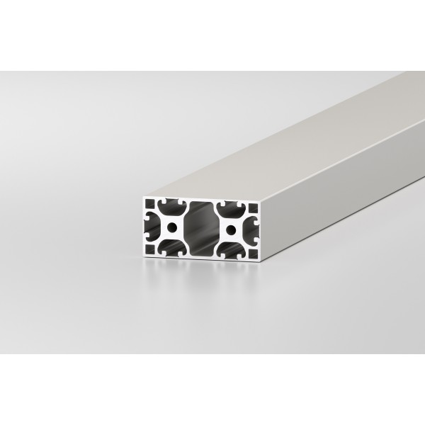 Profil X 8 80x40 6NO leicht, natur