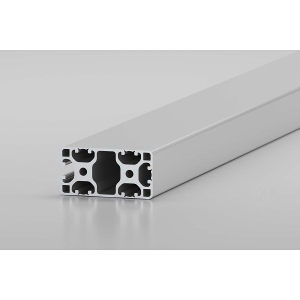 Profil 8 80x40 5NO leicht, natur