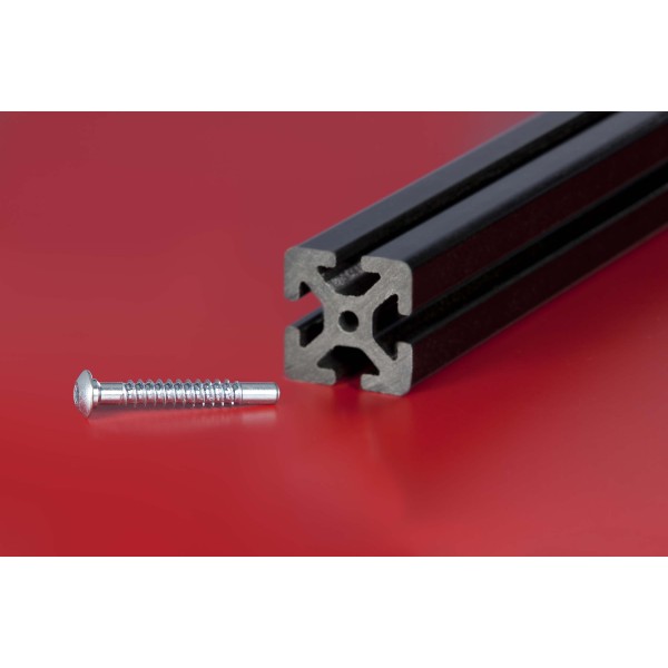 Halbrundschraube KH 8x55, TX30, verzinkt